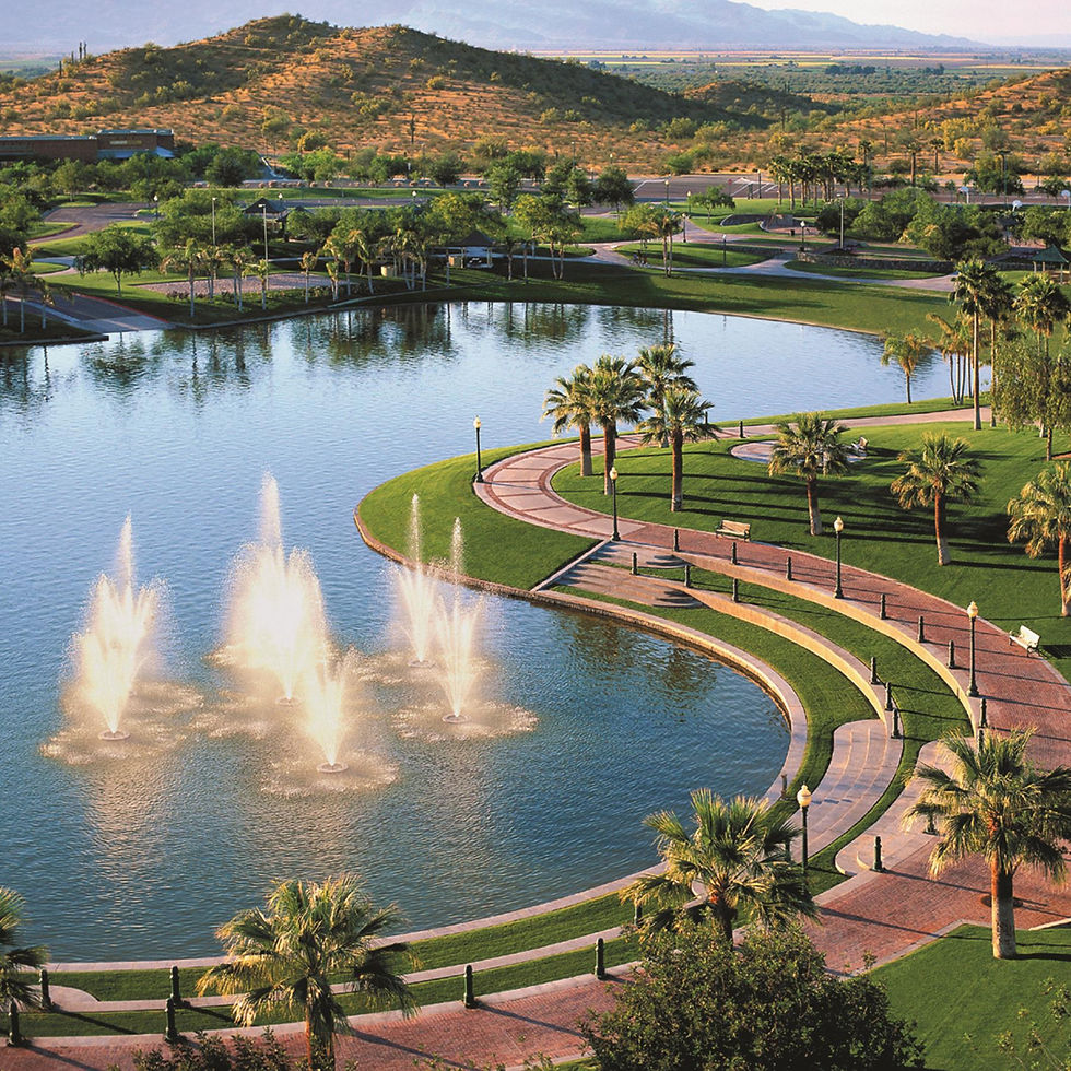 We Provide Pest control in Good Year Az.jpg