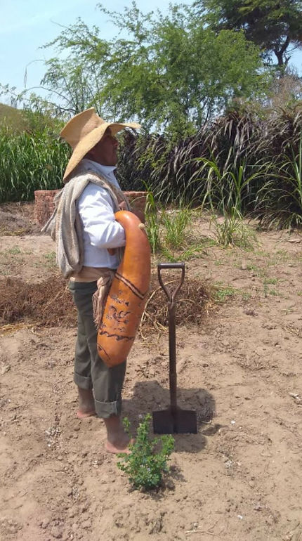 honrando nuestras calabazas .jpg