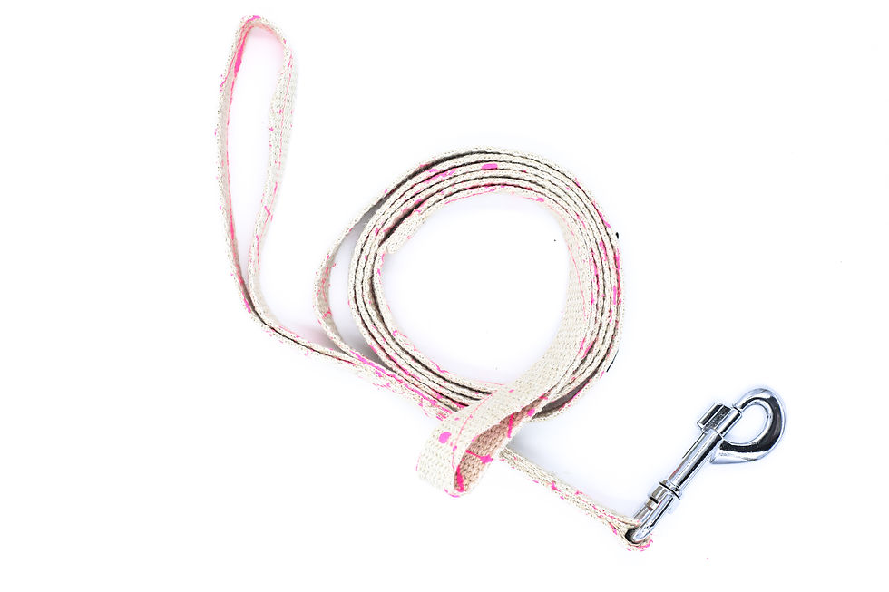 Thumbnail: Hemp Dog Traffic Lead | Plastic-free Lead | Pink