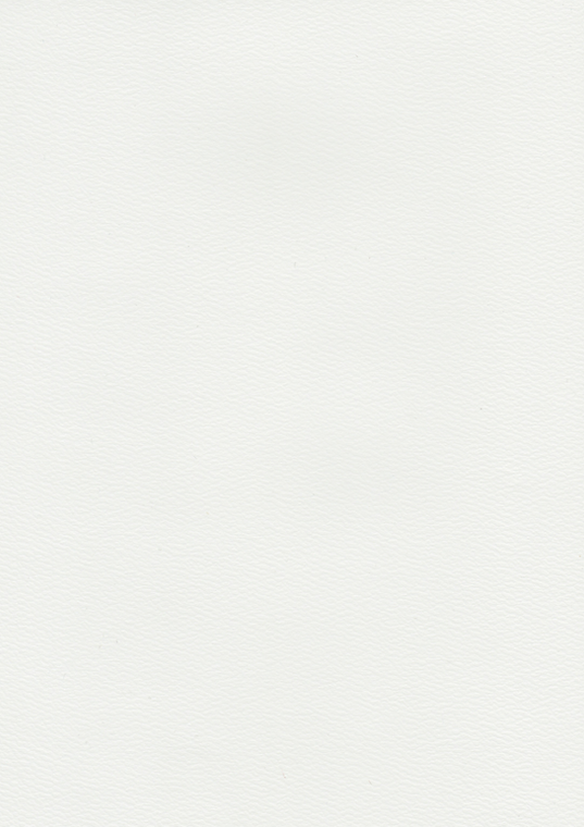 Papel Timbrado (4).png