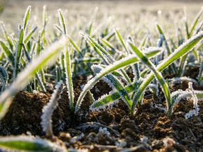 Les 5 Astuces d'Ecoway Partners pour Affronter le Froid.