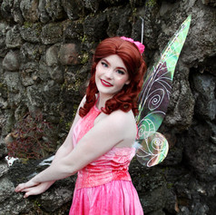 Pink Fairy