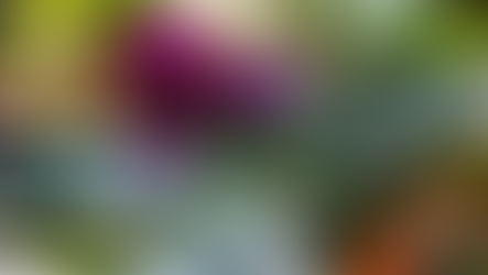 FAKTENCHECK: WANN IST GEMÜSE WIRKLICH GESUND?