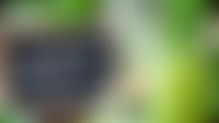 POWERSPENDER DETOX: WAS KANN DIE SANFTE REINIGUNG?