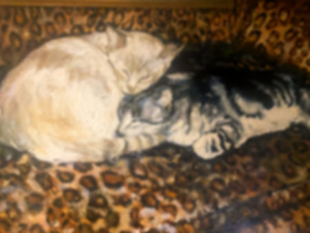 Snuggling Cats
