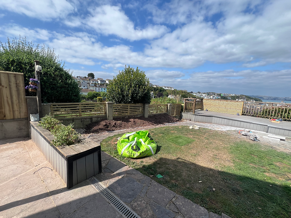 Garden before