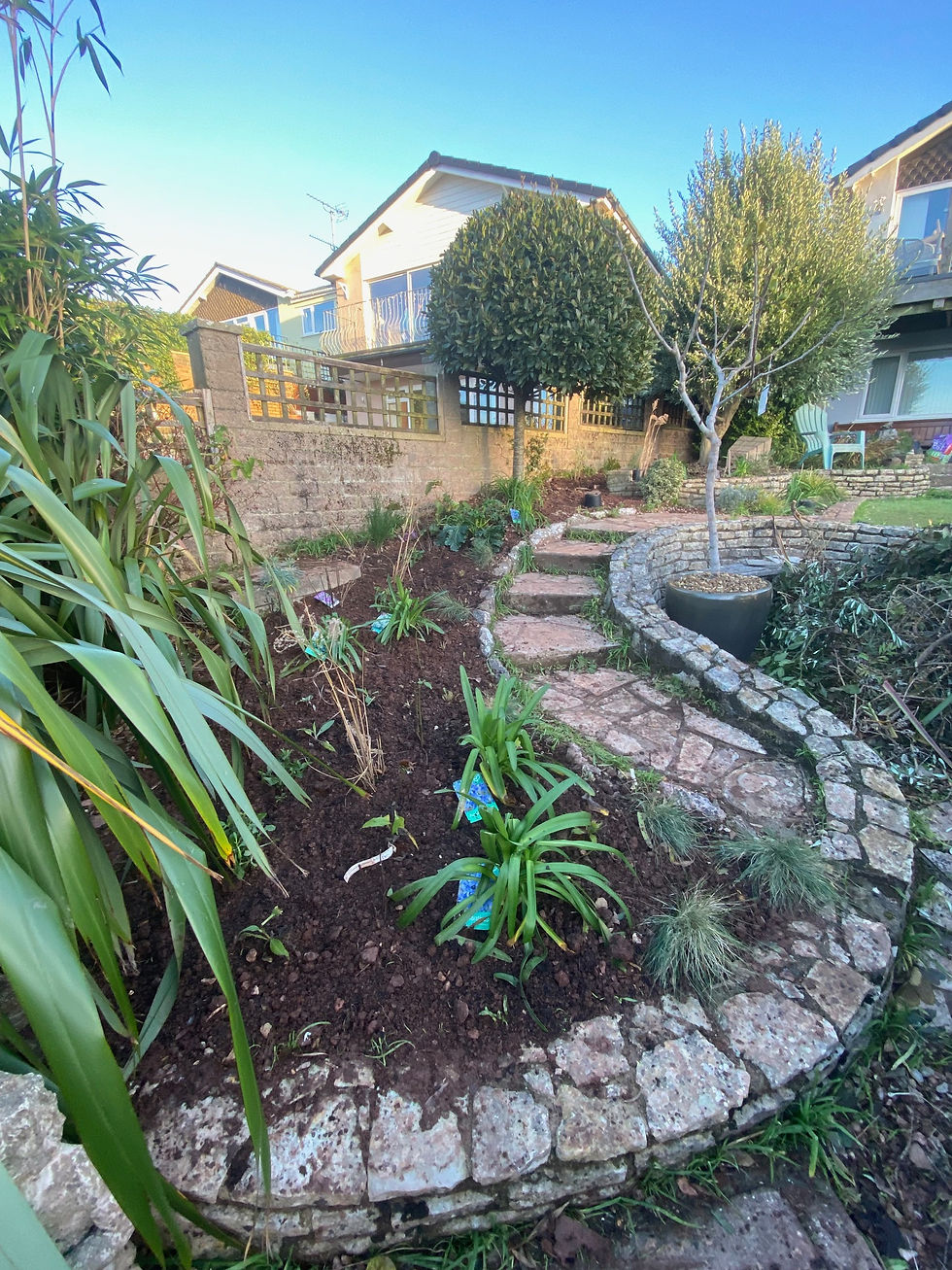 New soil and planting
