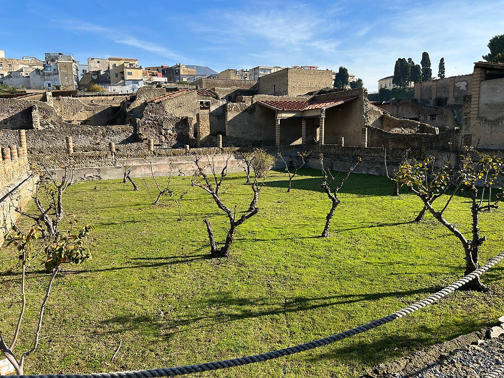 A courtyard and buildings