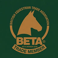 BETA LOGO.jpg