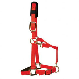 KM Elite Padded Headcollar Colt - Red