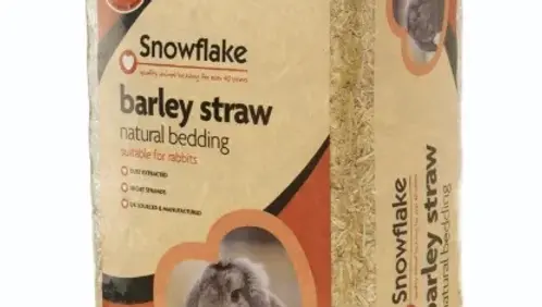 Snowflake Barley Straw- Large £4.99