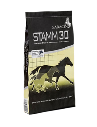 Saracen Stamm 30
