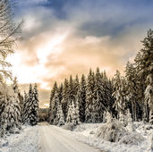 Preparing Your HVAC System for a Snowstorm from Virginia Air Heating & Cooling