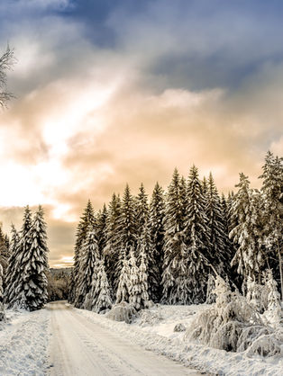 Why I'm passionate about mental health being taken seriously...