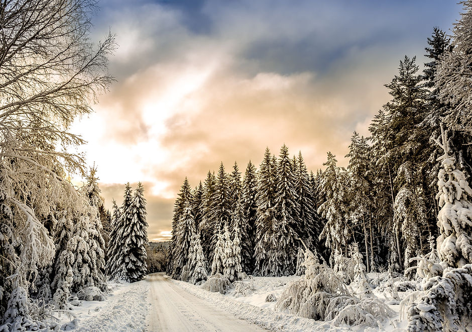 Śnieg Forest Road