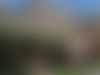 Start Now to Create an Outdoor Space You Can Enjoy This Spring