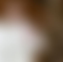 "Er fühlte unseren Schmerz": Katholische Kirchengemeinde in Gaza trauert über den Tod von Papst Franziskus