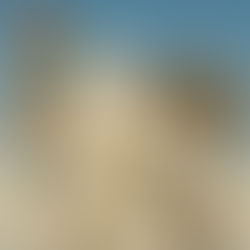 Papst Franziskus - eine beherzte und unermüdliche Stimme für Palästina