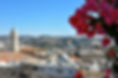 DSC_0014 2.JPG
