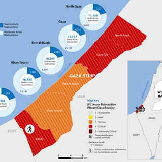 ICP: Neue Daten zur Hungersnot in Gaza und vernichtende Kritik an Israels "humanitären" Plan