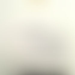 Dr. Saeb Erekat (1955 - 2020)