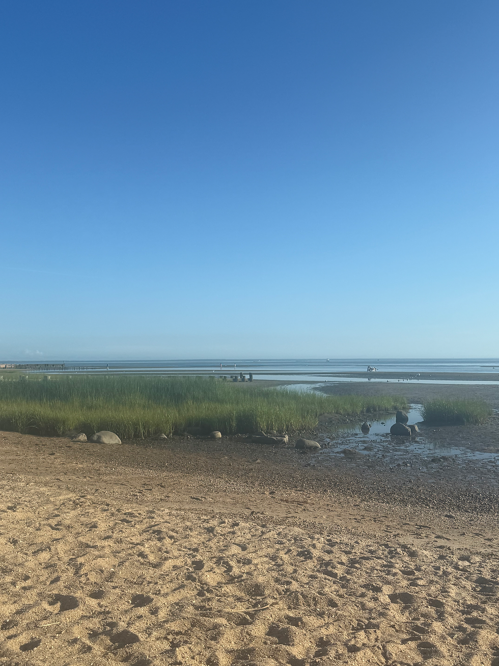 Summer Time in Old Saybrook, CT