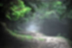 Lord of the rings - Roumanie 2009