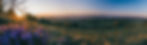 panorama jonas-min.jpg