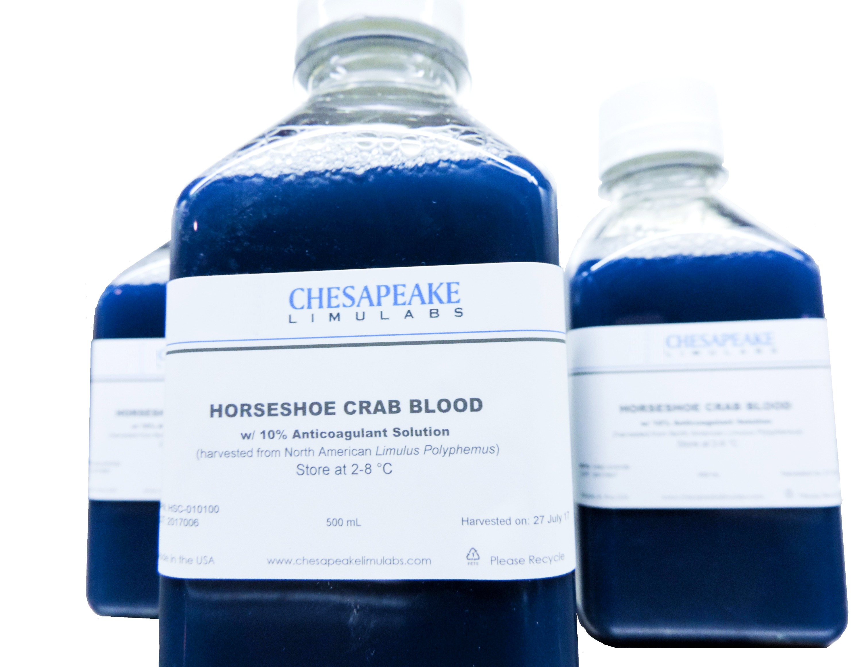 Chesapeake Limulabs Horseshoe Crab Blood