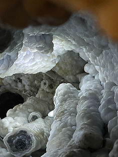 Caverns of the Soul Reveal our Desires