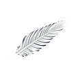 vector art_ a white feather_edited.png