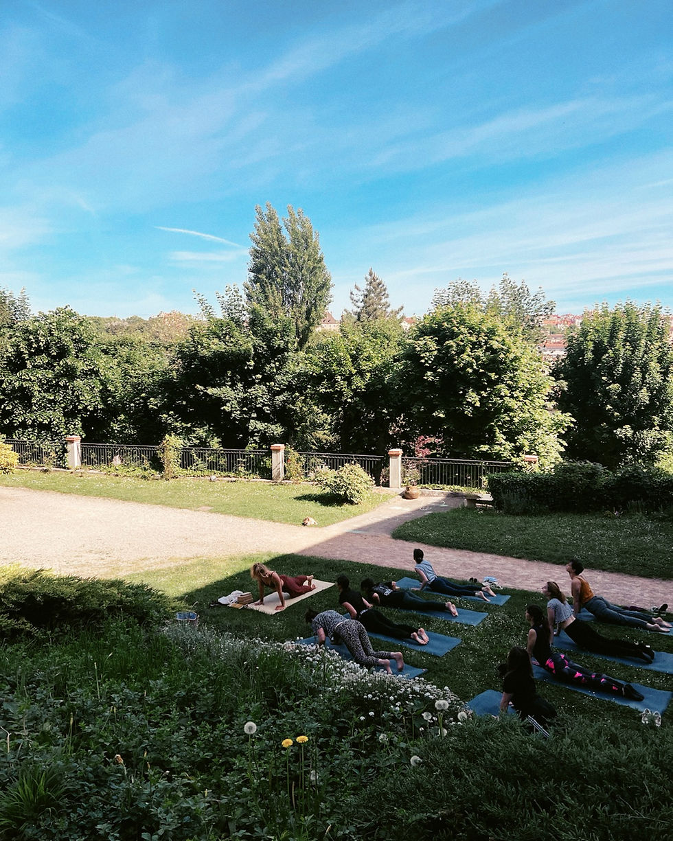Journée Yoga & Baumes médicinaux — une parenthèse au cœur de notre jardin lyonnais