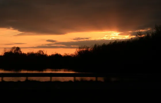 Home The Clinical Manager