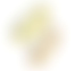 ランバン｜ダックス｜結婚指輪｜値上がり