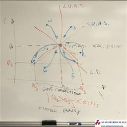 Disequilibrium Corrections by the Government into the Market Equilibrium Price