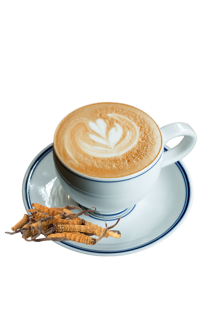 Cordyceps Coffee - The Stamina Brew