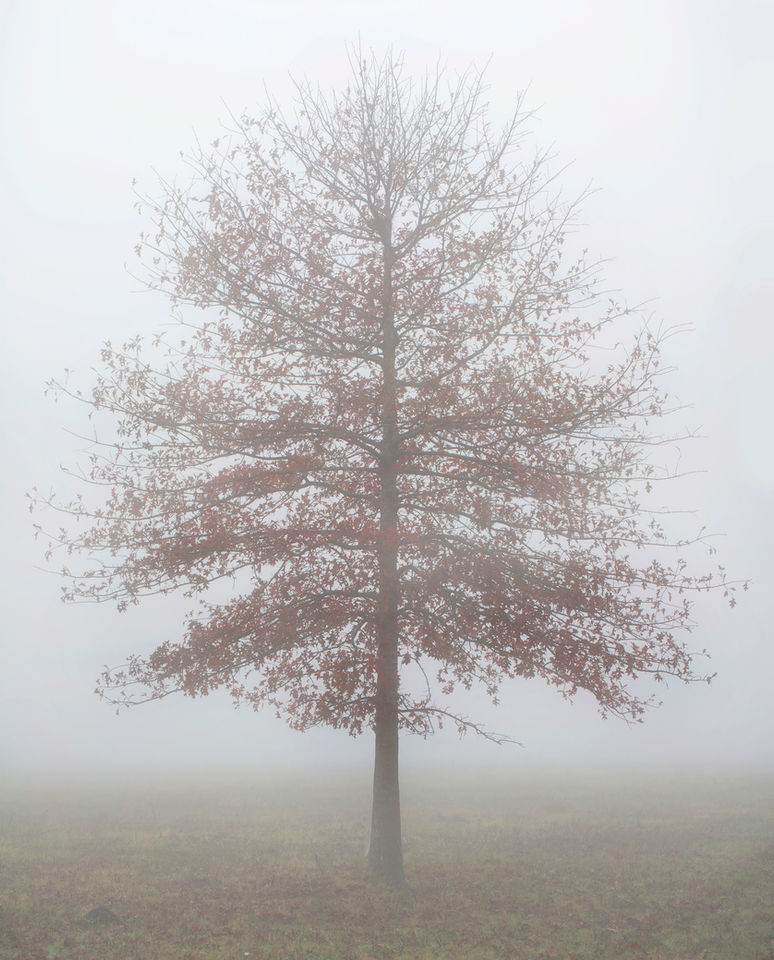 Untitled_Panoramabaphoto.jpg