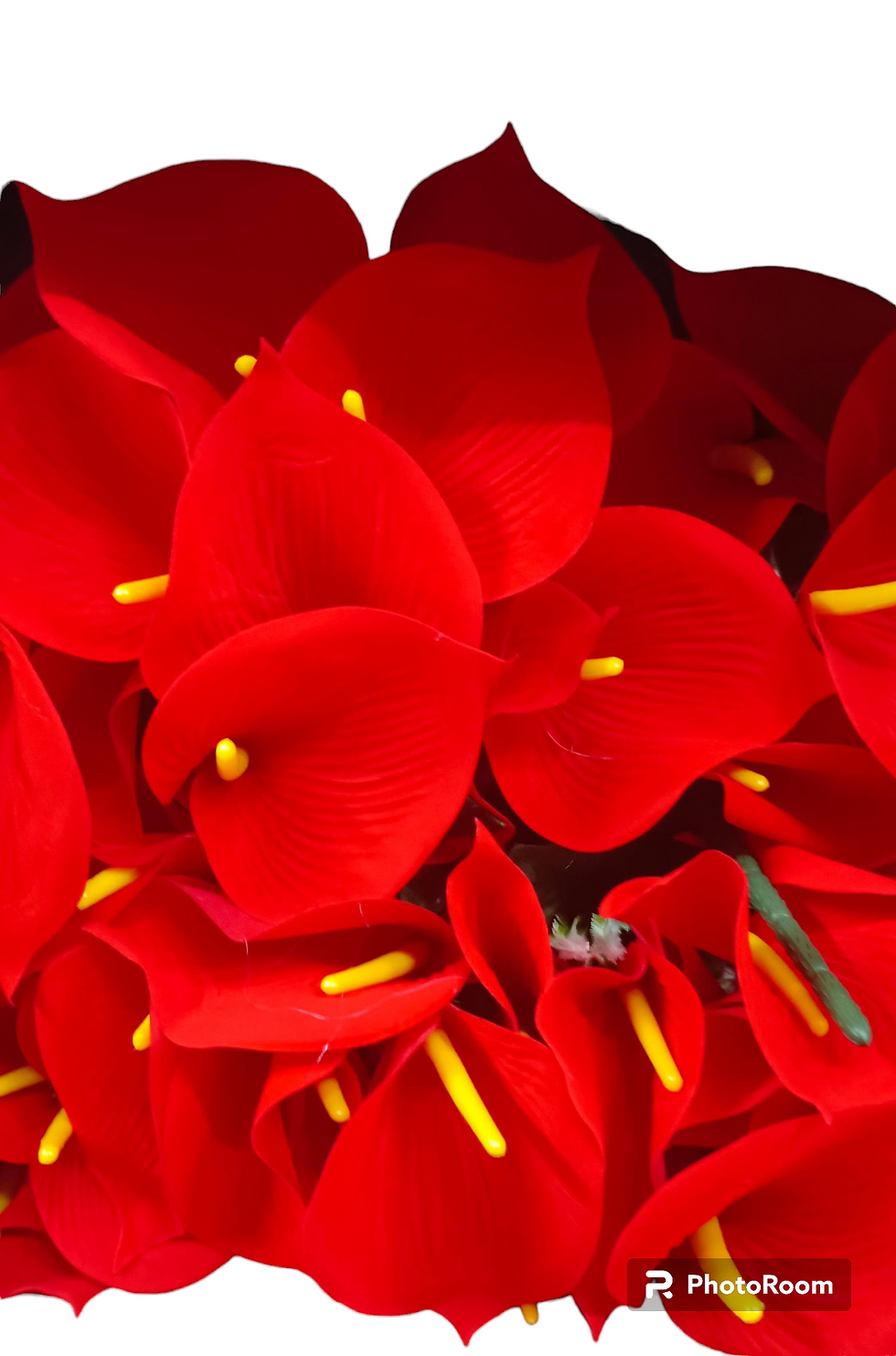 Thumbnail: Petals