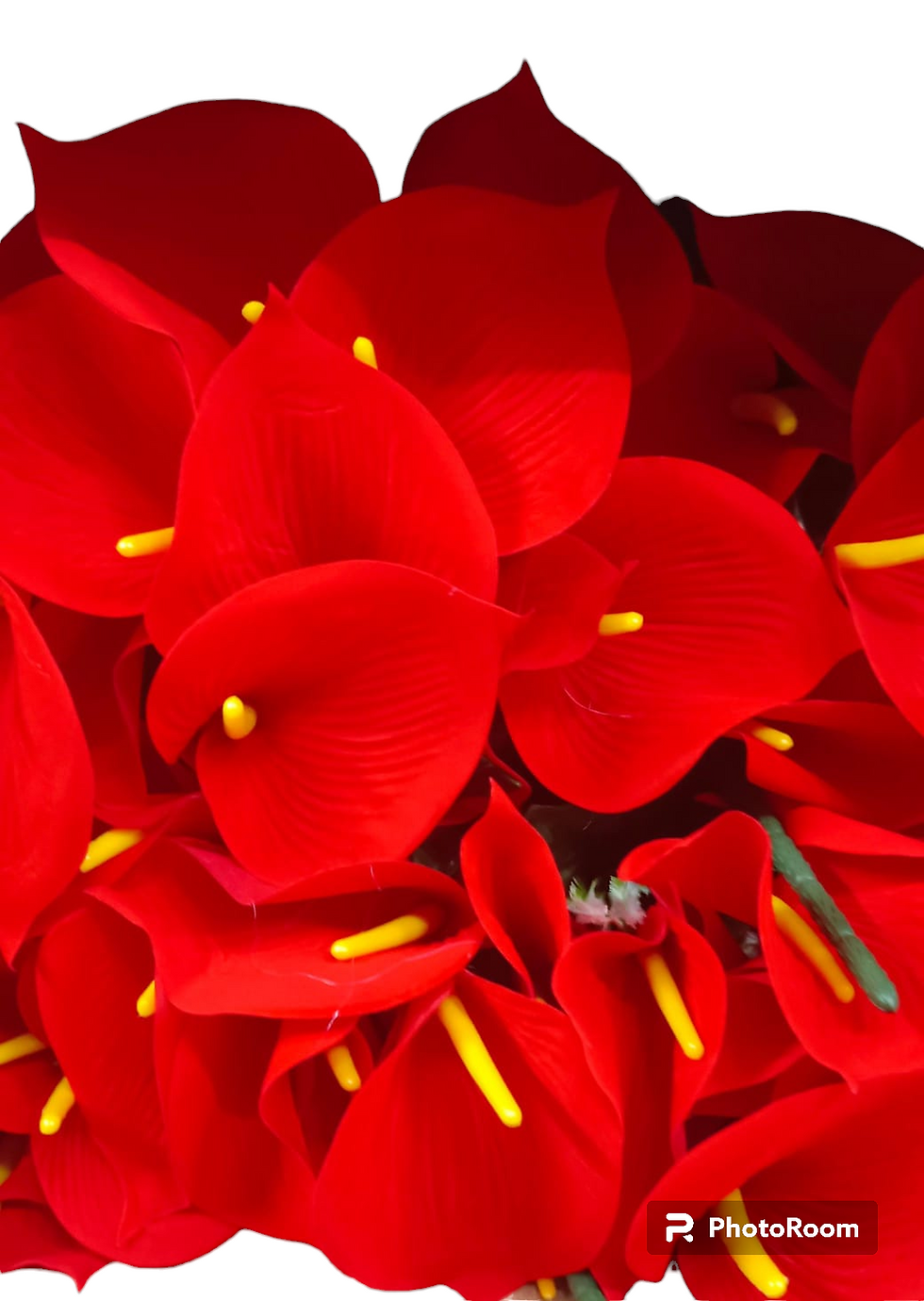Thumbnail: Petals