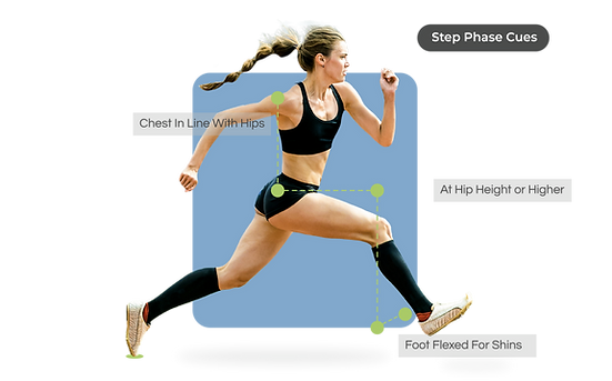 Website Assets - Step Phase.png