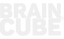 logo-braincube-01-1_edited_edited.png