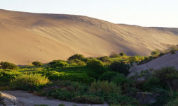 valle-de-quisma-pica-iquique-chile-1000x600