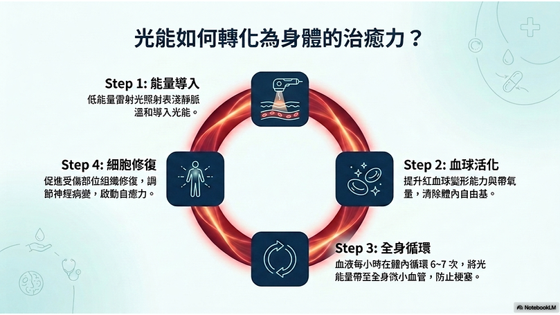 OLIB電腦橫版.pptx (3).png