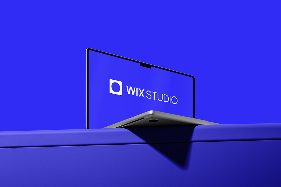 lp wix studio_3.png