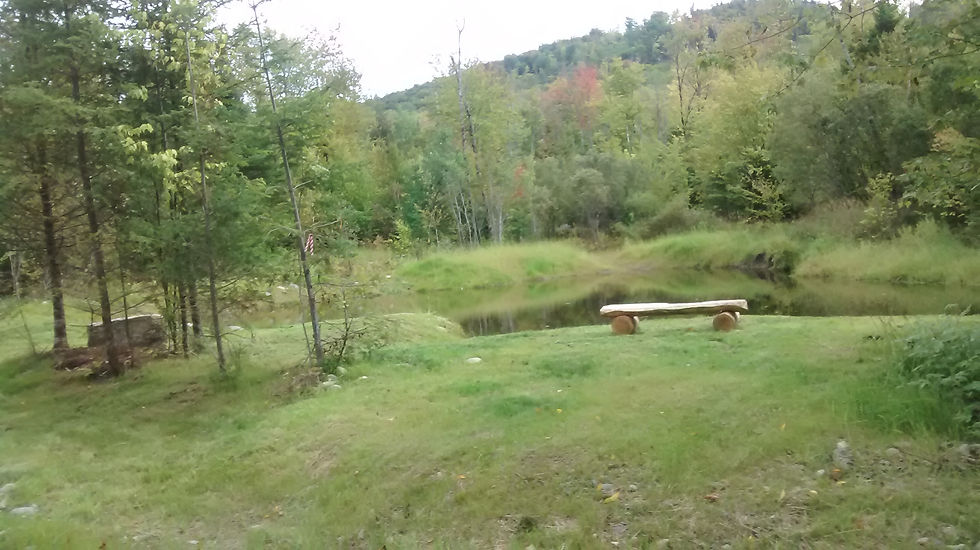 wetland, pond, septic design