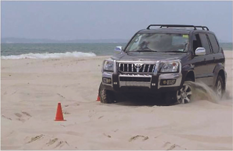 Pardo on sand