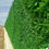 Küçük resim: ( 90 cm x 10 mt ) Çim çit yeşil bahçe çiti çit teli örgü teli