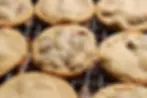 IMG_5073_result.webp