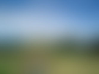 Baling hay take two, Farmers' Market Offerings, Farm Happenings