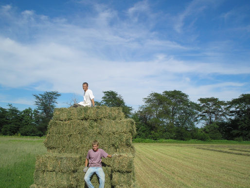 Baling hay take two, Farmers' Market Offerings, Farm Happenings